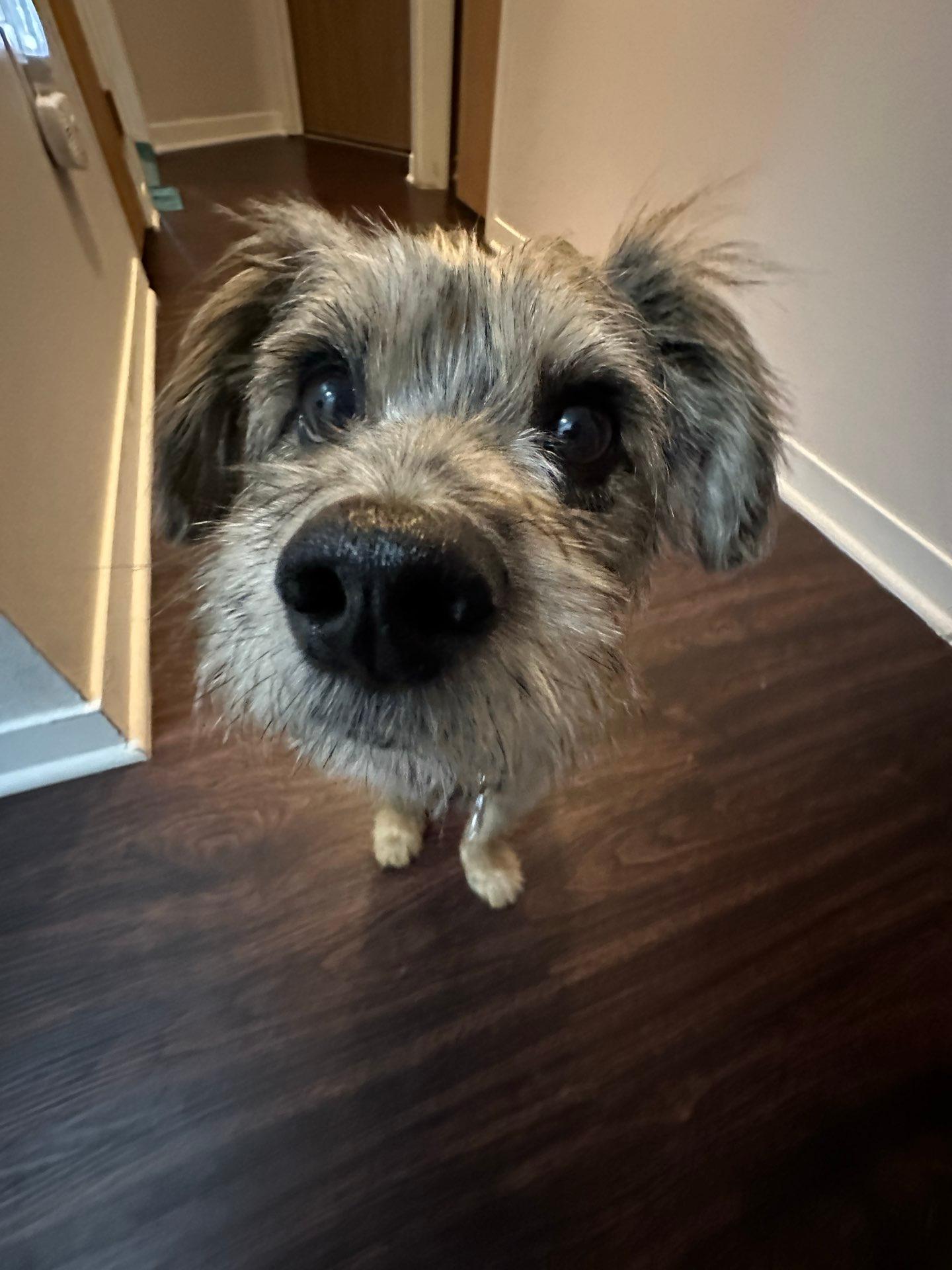 Raymond profile photo