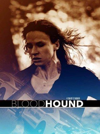 Bloodhound image