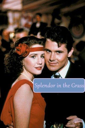 Splendor in the Grass image