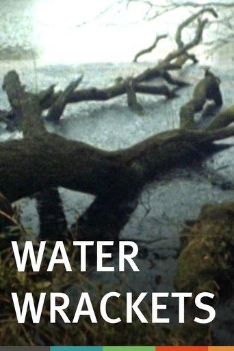 Water Wrackets image