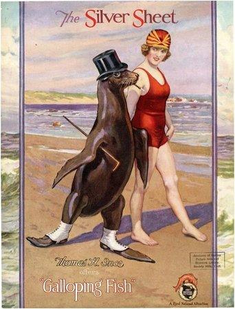 The Galloping Fish image