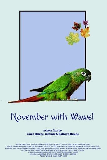 November with Wawel image