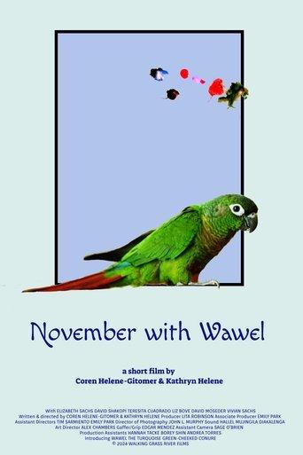 November with Wawel