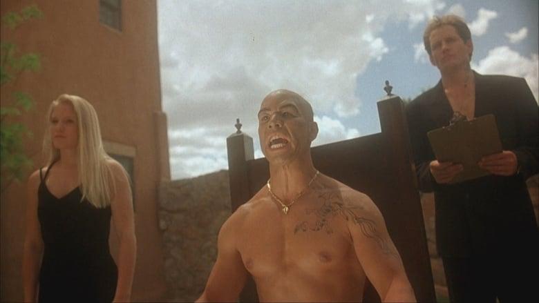 Kickboxer 4: The Aggressor image