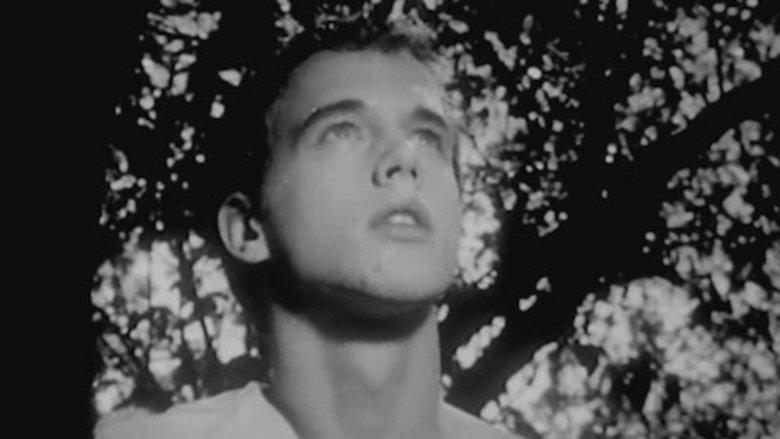 Saint image