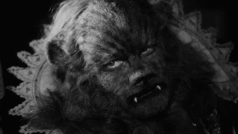 Beauty and the Beast image