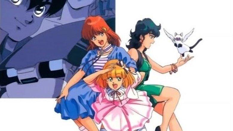 Star Cat Full House image