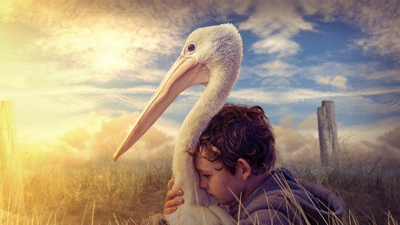 Storm Boy image