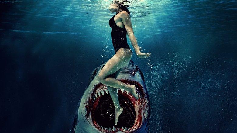 Something in the Water image