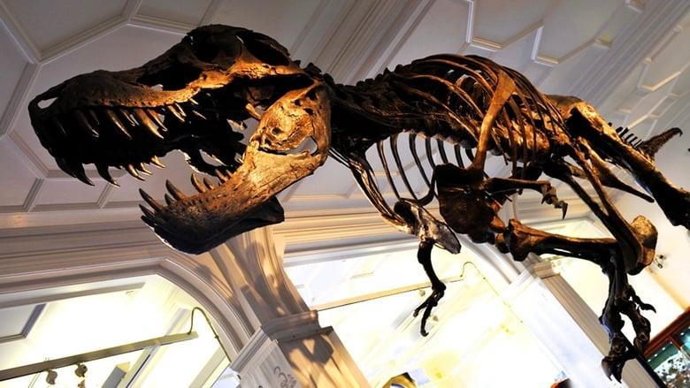 How to Build a Dinosaur image