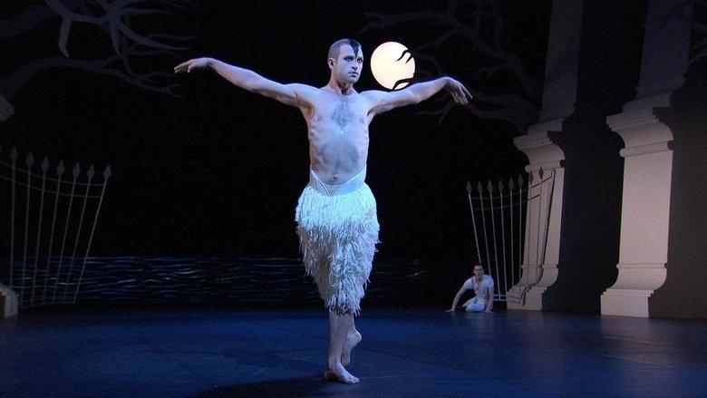 Swan Lake image