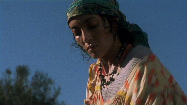 Fatima, the Algerian Woman of Dakar image