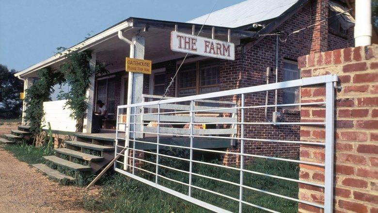 American Commune image
