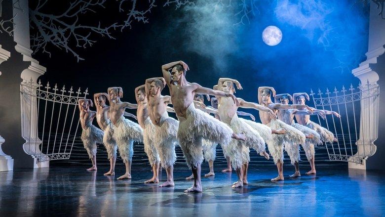 Matthew Bourne's Swan Lake image