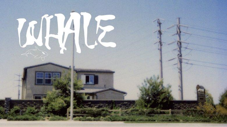 Whale image