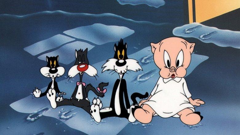 Kitty Kornered image
