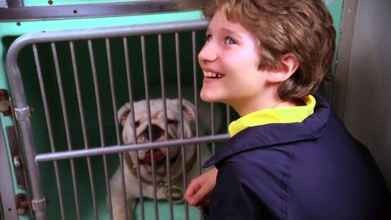 The Dogfather image