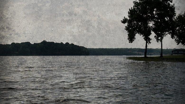 The Lake image