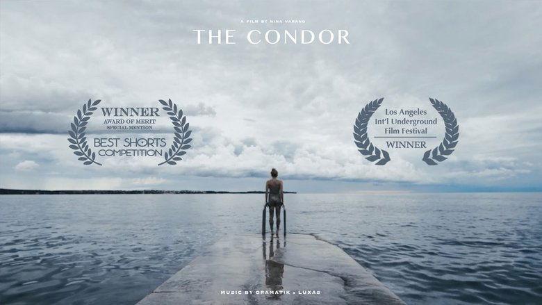 The Condor image