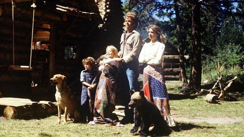 Mountain Family Robinson image