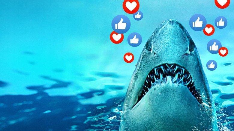 Sharks Gone Viral image