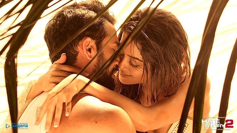 Hate Story 2 image