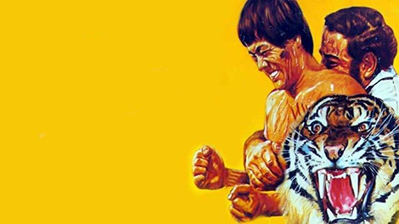 Return of the Tiger image