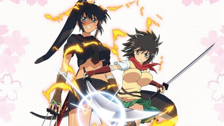 Senran Kagura: Ninja Flash image