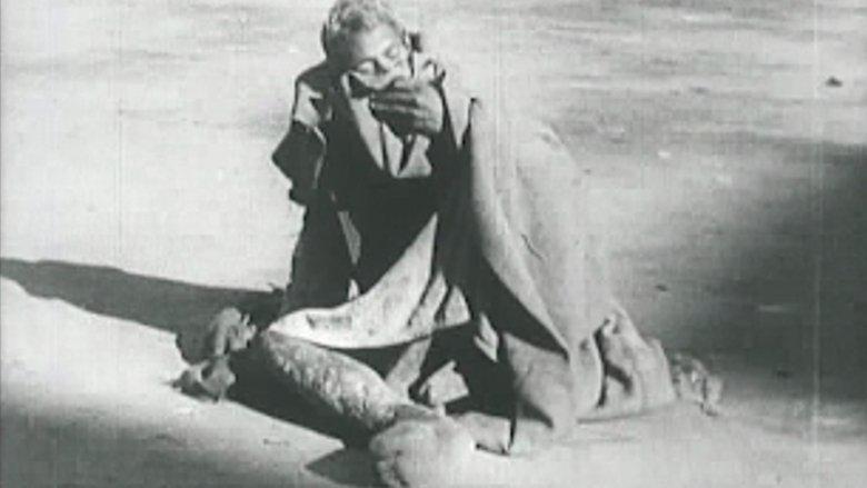 Sinister Harvest image