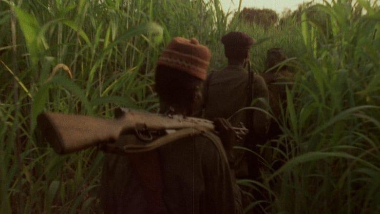 Concerning Violence image