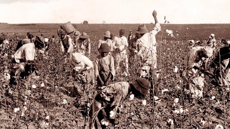 Slavery and the Making of America image