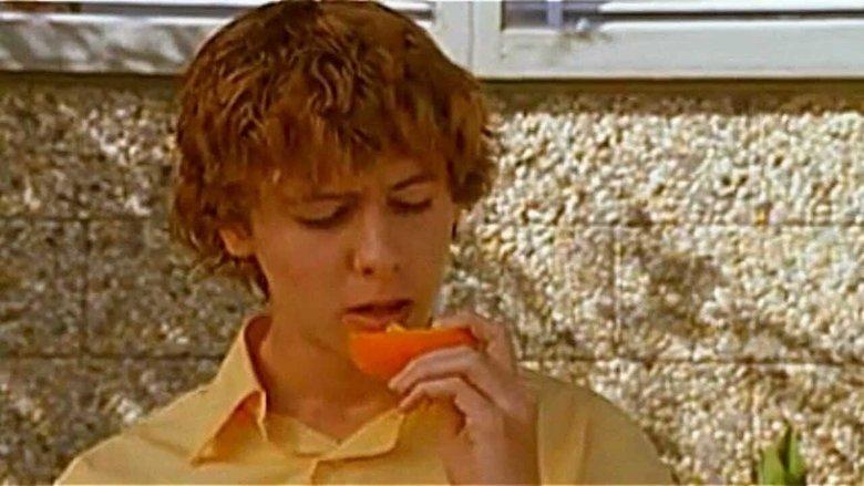 Oranges image