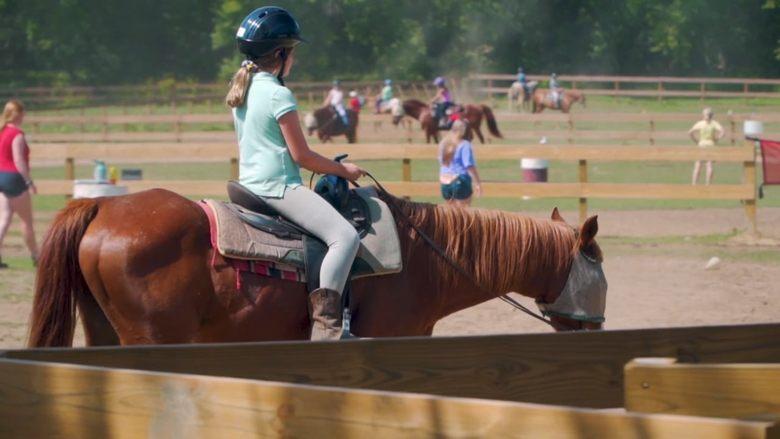 Horse Camp: A Love Tail image