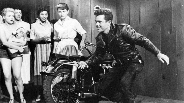 Motorcycle Gang image