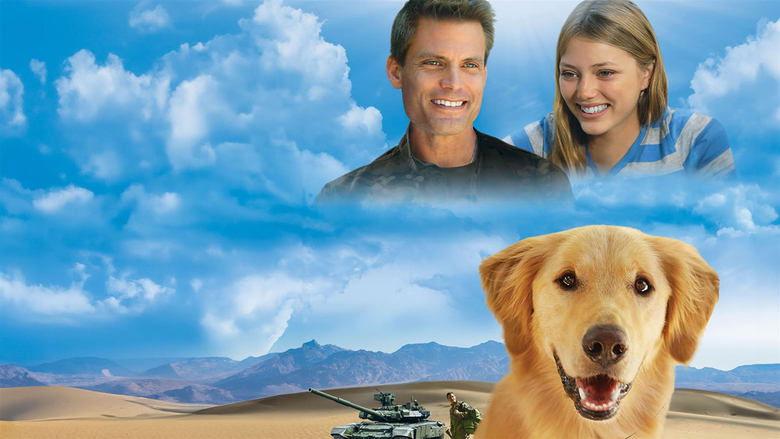 Army Dog image