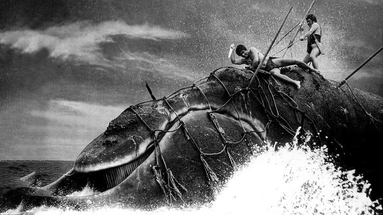 The Whale God image