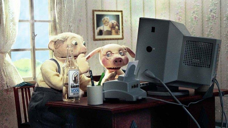 Saamuel's Internet image