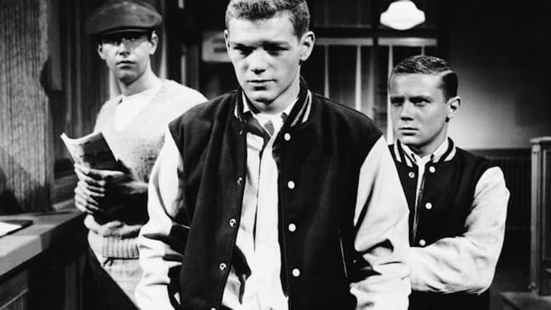 The Young Stranger image