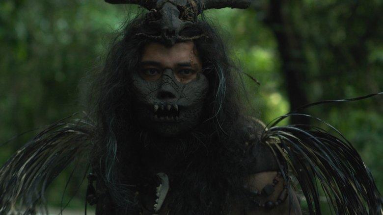 Woman in the Woods image