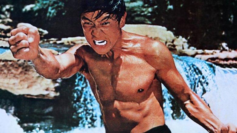 The Screaming Tiger image