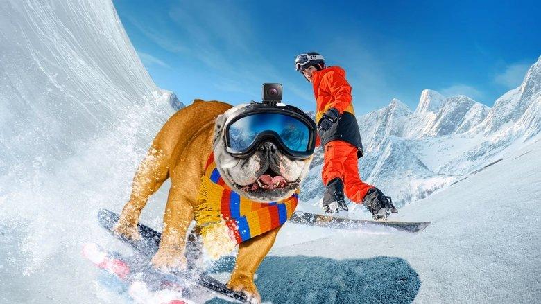 Powder Pup image