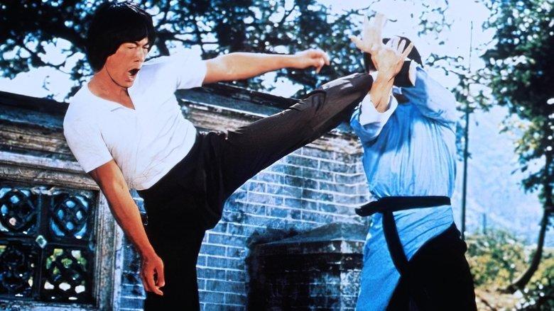 Blind Fist of Bruce image