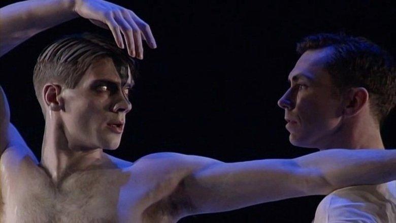 Swan Lake image