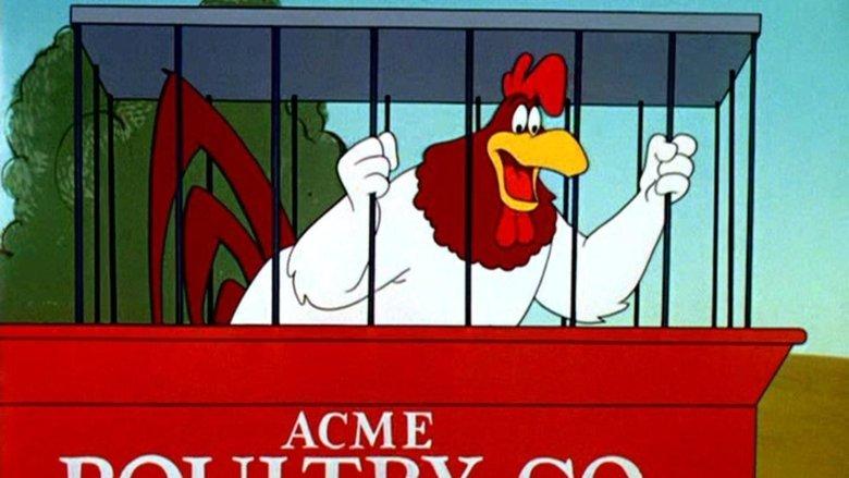 A Broken Leghorn image