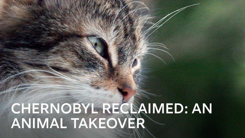 Chernobyl Reclaimed: An Animal Takeover image