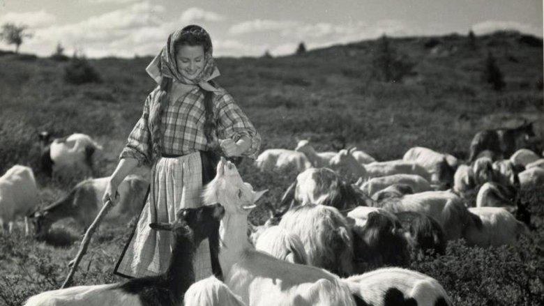 Eli Sjursdotter image