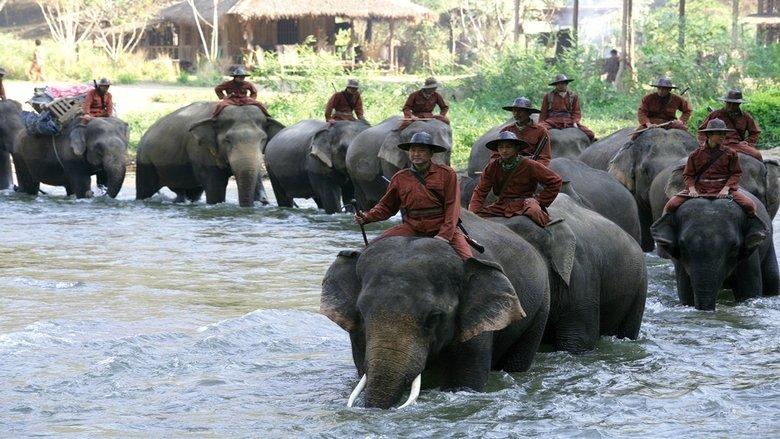 Sunny and the Elephant image