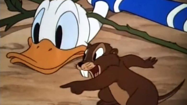Donald's Garden image