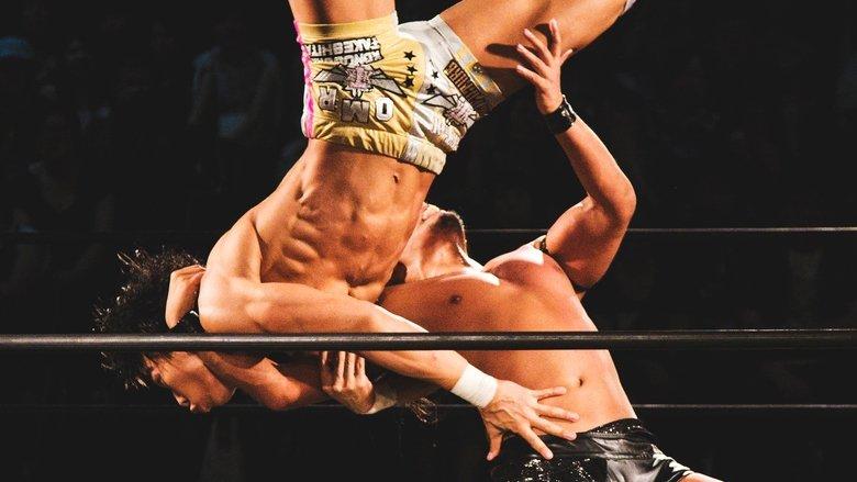 The Wrestlers image