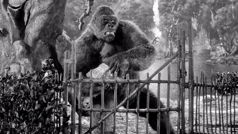 Mighty Joe Young image